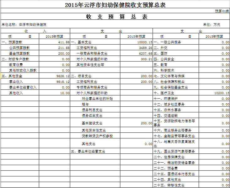 收入支出明细表模板_医院收入支出总表(2)